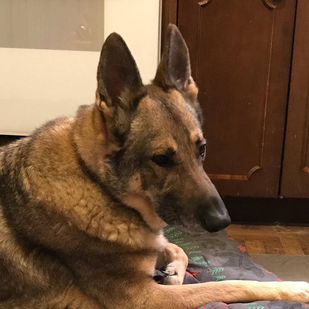 Meet your Posher, Laura